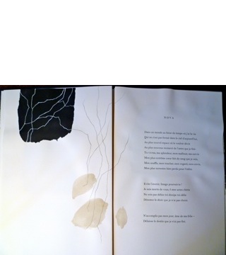 CATHERINE POZZI :: Poèmes Illustrés par Sylvie DEPARIS